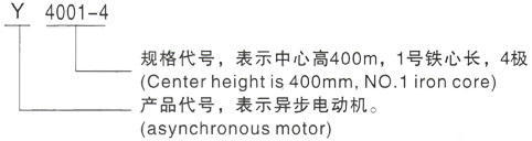 西安泰富西玛Y系列(H355-1000)高压YRKK4001-4三相异步电机型号说明