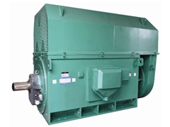 YRKK4001-4Y系列6KV高压电机